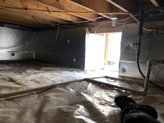 Mold Remediation on Floor Joists