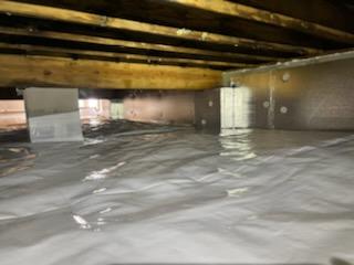 Mold Remediation on Floor Joists