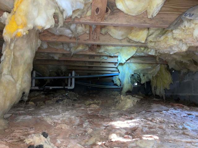 Fiberglass Insulation in The Crawl Space