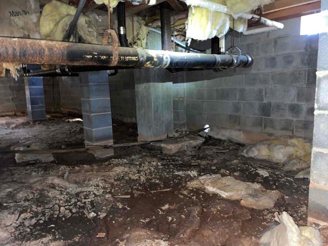 Bulk Water Infiltration
