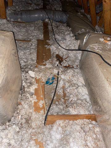 Old, Yucky Insulation