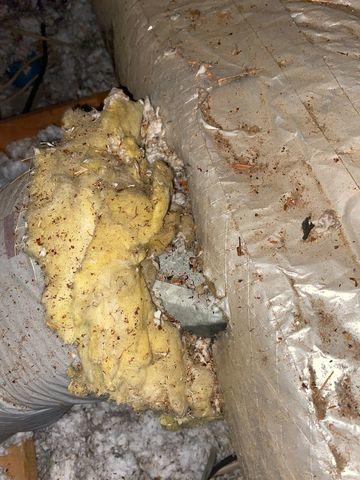 Yucky Insulation