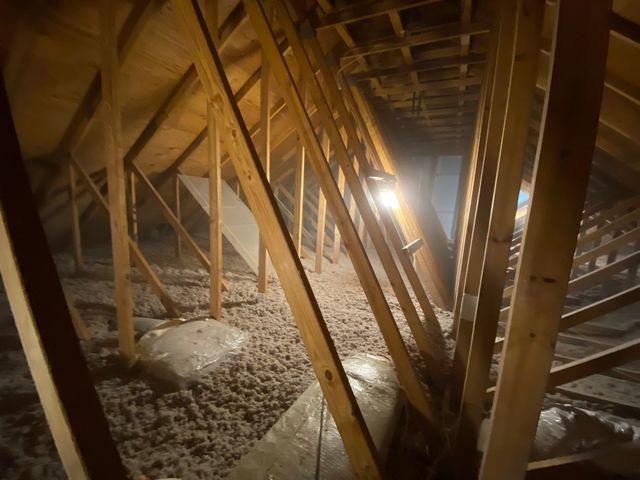 TruSoft Cellulose Insulation