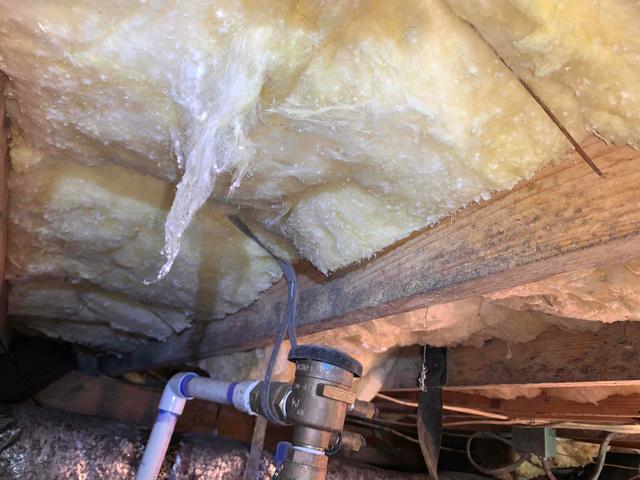 Mold Growth, Damp Fiberglass