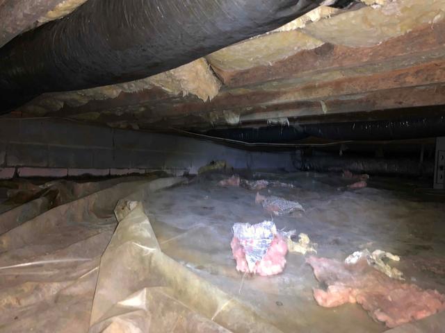 Exposed Dirt Flooring