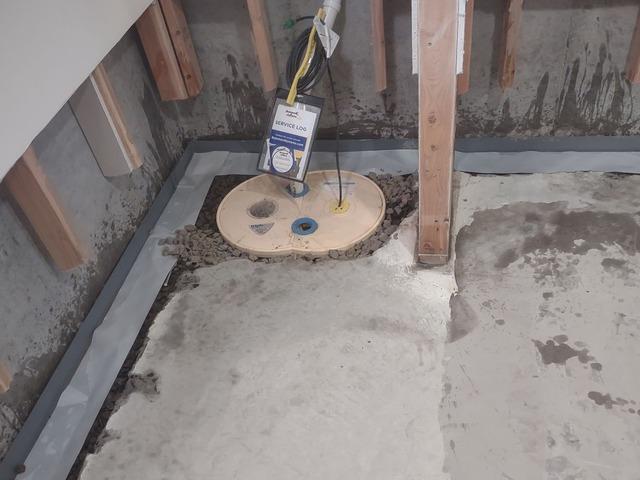 TripleSafe Sump Pump System