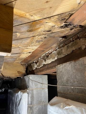 Moldy Crawl Space