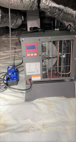 SaniDry Sedona Dehumidifier