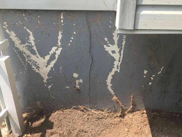 Vertical Foundation Crack