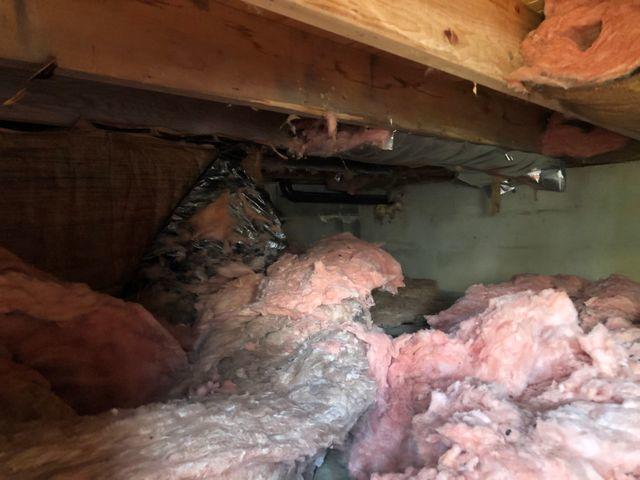 Dirty old insulation