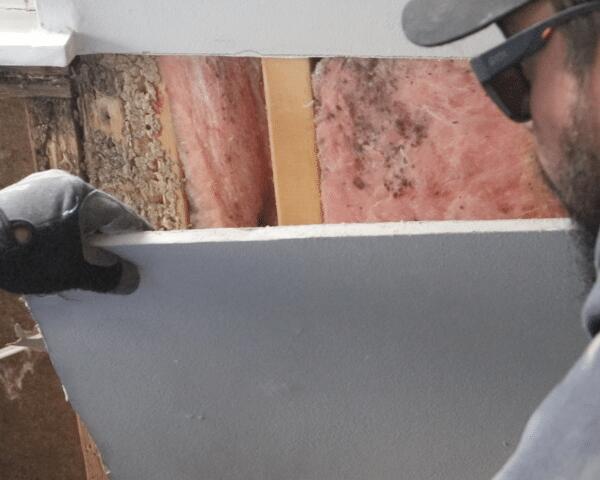 Mold on the Insulation