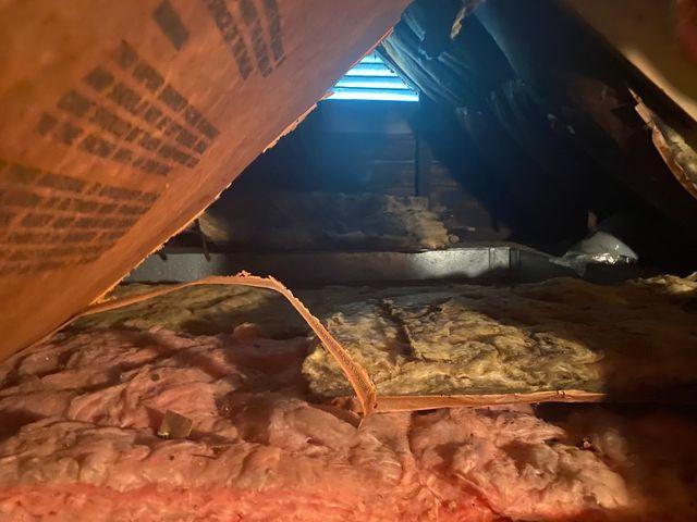 Old Attic Insulation