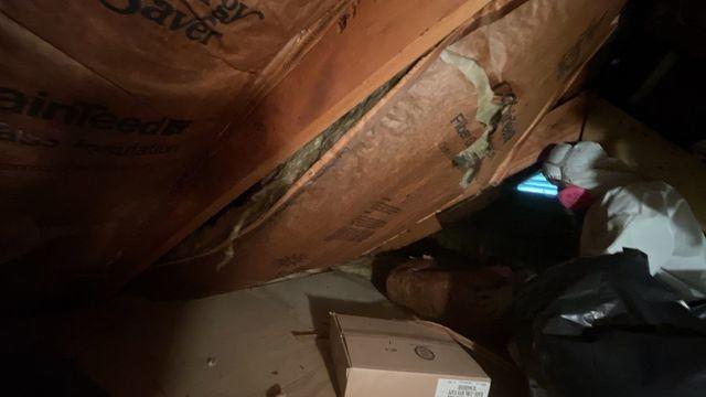 Insulation Removal