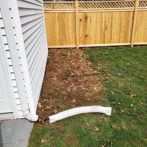 Another successful removal resulted in a clear area by our team!