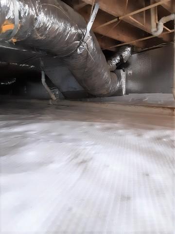 Thermal Wall Insulation