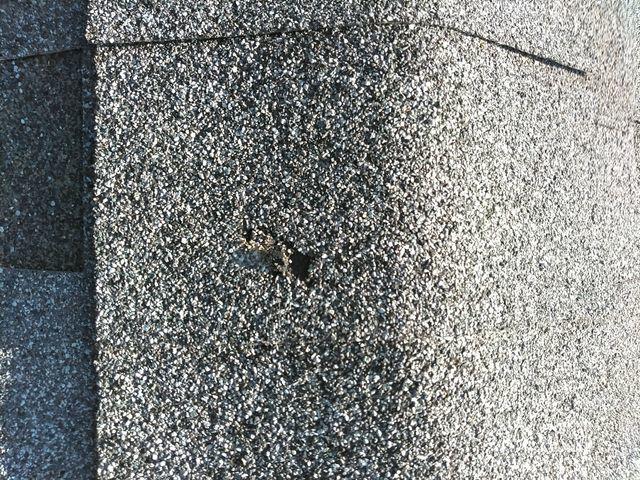 After the Hail, Before the Repair