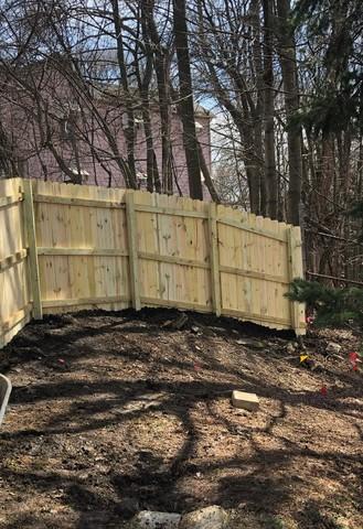 Natural Privacy 6' Pressure Treated Wood