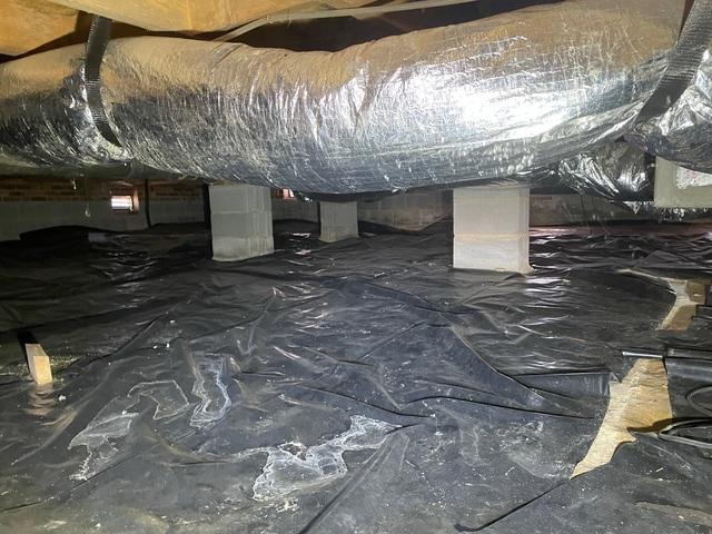 Moist Crawl Space