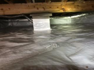 Mold Remediation