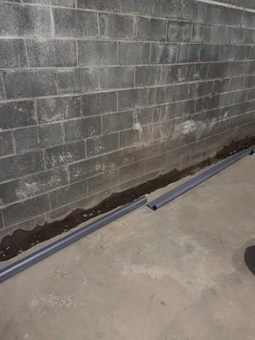 WaterGuard Placement