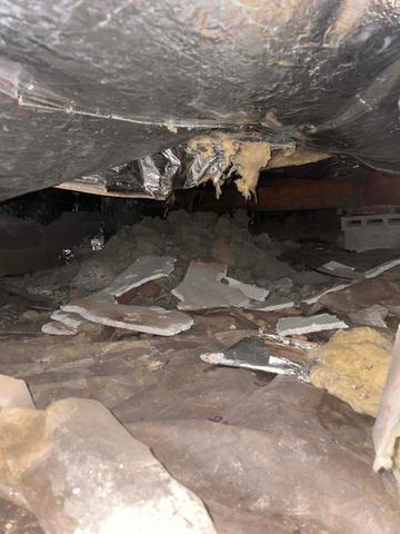 Before - Nasty Crawl Space