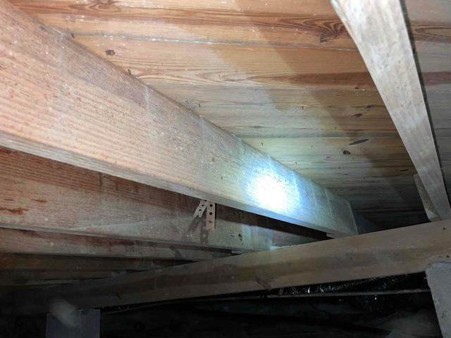 Mold and mildew have formed along the floor joists of this crawl space. This occurs on organic materials when the relative humidity reaches over 60% during warmer temperatures. Musty odors and mold spores can find their way up into the home and irritate those with allergies and asthma.