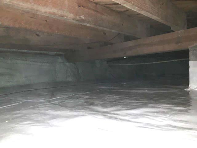 An antimicrobial, called Shockwave, was applied to the affected floor joists to help eliminate mold growth. Shockwave is an antimicrobial designed to destroy mold and mildew on organic materials, however, it does not remove the staining left behind by the growth. It is also important to note that mold can grow back if the environment of the crawl space is not controlled.