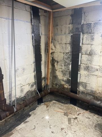 CarbonArmor Wall Reinforcement System