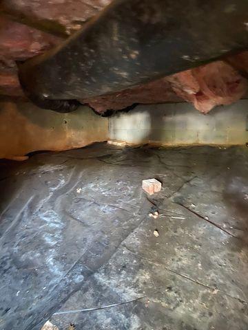 Crawl Space before