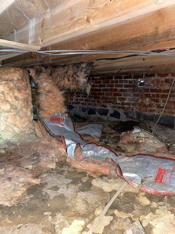 Crawl Space before