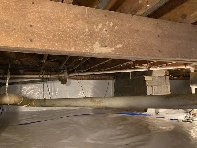 Crawl Space after