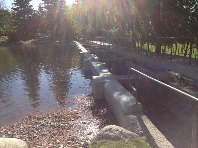 Shotcrete repair of the Orr Ditch on the University of Nevada Reno, NV