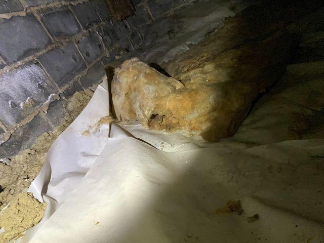 Crawl Space Before