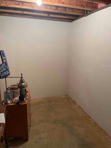 Before - Moldy and Damp Basement