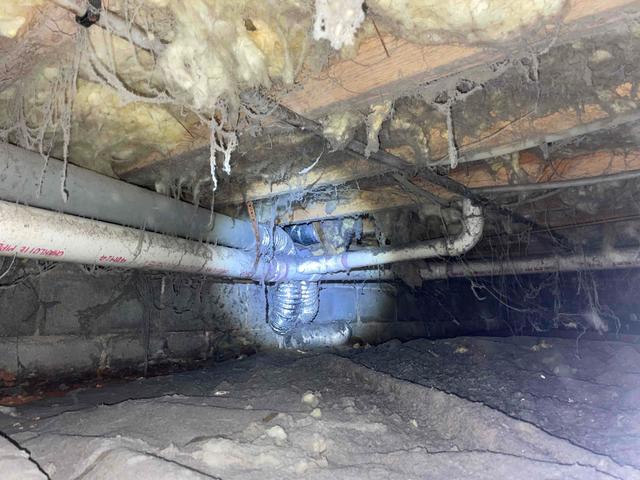 Nasty Crawl Space