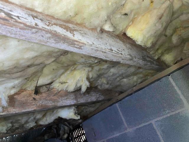 Mold & Mildew in The Crawl Space