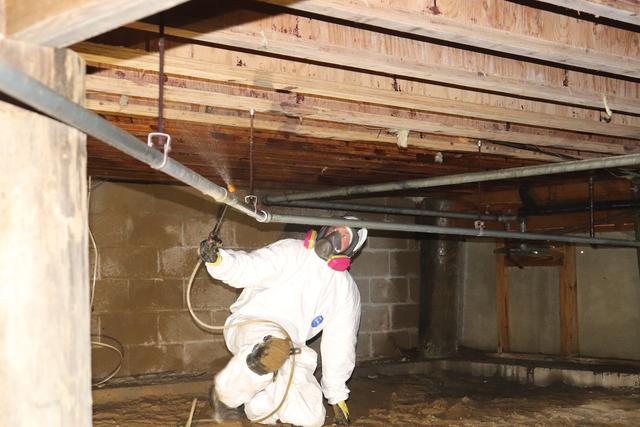 Afterward, we applied our mold stain remover to all the joists.