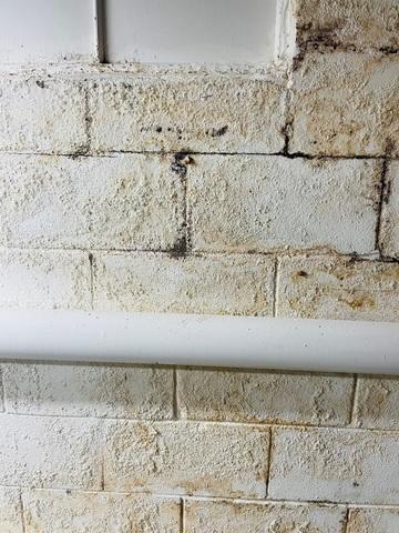 Water Seeping Through Walls