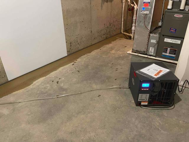 Basement Dehumidifier