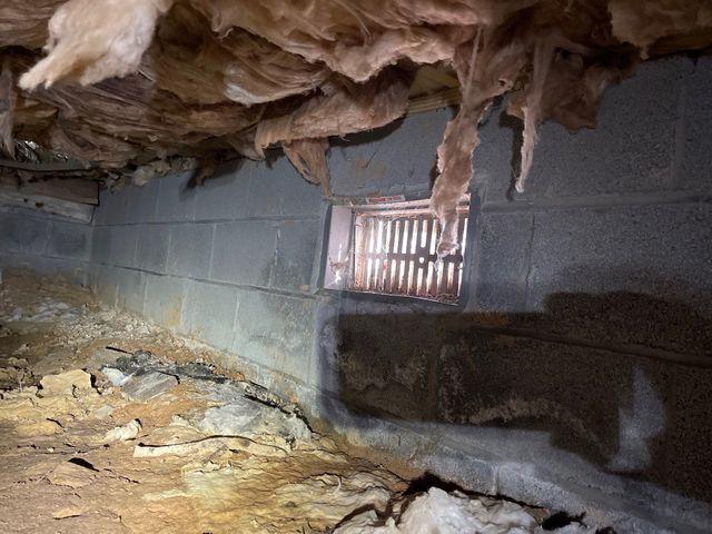 The first place air coming into a homes starts is in your bottom levels.  That means that a nasty crawl space like this can be the source of musty air going into the home and living spaces above.