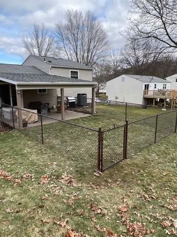 4' High Brown Chain Link Fence / (1) 4' Gate