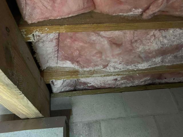 Mold and Mildew Growth