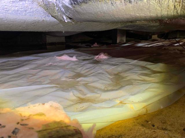 Exposed Dirt Flooring and Fiberglass Chunks