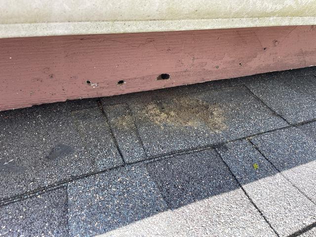 found several drilled holes in the fascia board. Carpenter bees will drill circular 1/2 holes into wooden structures to create galleries. If not treated, the carpenter bees will reuse the same galleries year after year and cause extensive damage to that area.