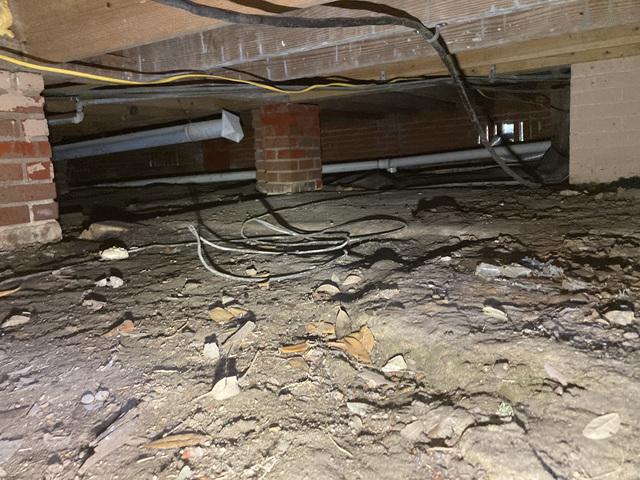 Moldy Crawlspace