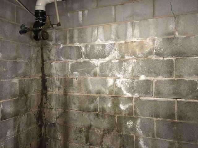 Water Damaged Wall