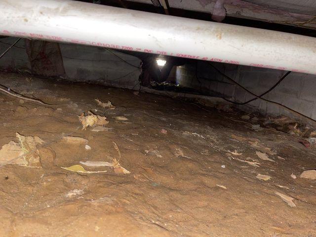 Crawl Space Needs Love