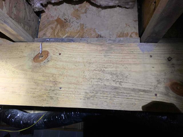 There were many areas of the crawl space where mold and mildew had formed on the organic materials, such as the wooden floor joists. Mold growth in the crawl space can occur during warmer temperatures when the relative humidity reaches over 60%. The musty odors can rise into the home above and irritate those with allergies and asthma.