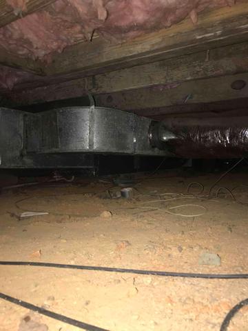 Moldy Crawl Space
