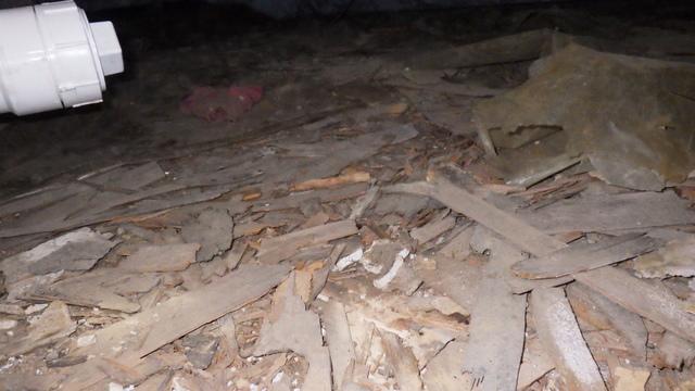 Crawl Space Debris